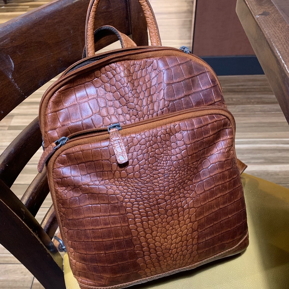 Backpack purse